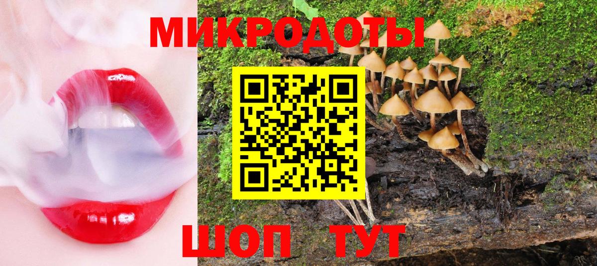 Протвино  Псилоцибиновые грибы Cubensis  Галлюциногенные грибы Magic Shrooms  Вход с VPN 
